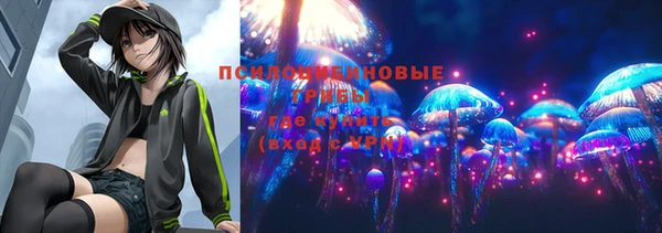 крисы Карпинск