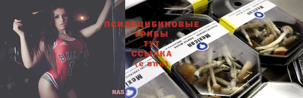 2c-b Каменногорск