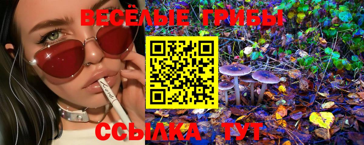 Псилоцибиновые грибы GOLDEN TEACHER Коммунар